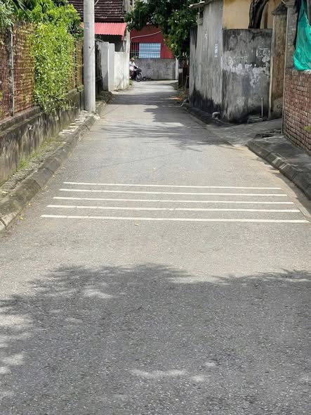 Đất nền Đa Tốn Gia Lâm 61m² giá 4.6 tỷ - Đường ô tô vào tận nơi!