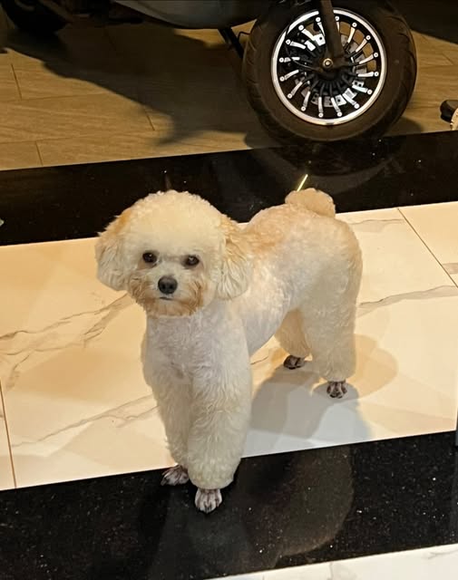 Đất nền mặt tiền đường KA3, phường Tân An, 520m² giá 3.2 tỷ - Cơ hội đầu tư tuyệt vời!