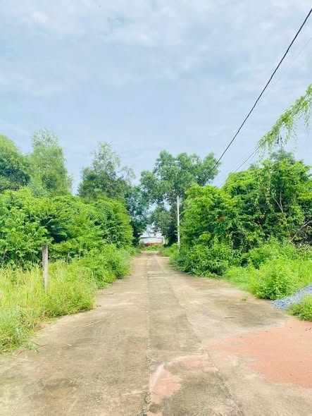 Đất nền Hòa Long Bà Rịa 133m² giá 1.58 tỷ - Đầu tư sinh lời ngay!