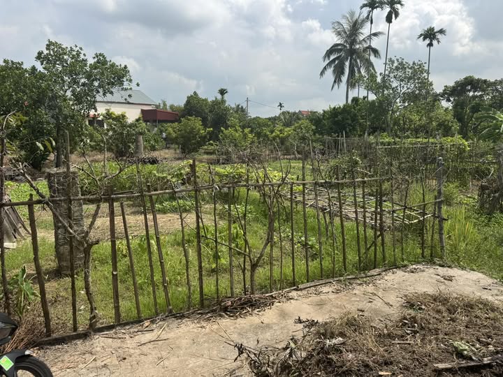 Đất nền 300m² tại xã Thanh Hà, Hải Dương - Giá chỉ 1.4 tỷ - Đường ô tô vào tận nơi!