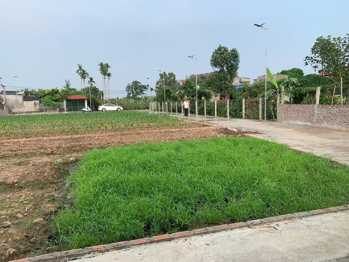 Đất nền chính chủ xã Thanh Sơn, huyện Thanh Hà, 134.5m² - Sổ đỏ, giá thỏa thuận!