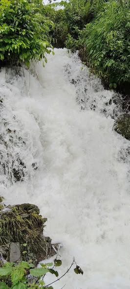 Farm 7000m² tại xã Mường Bi, Hòa Bình - Thác nước đẹp mê hồn!