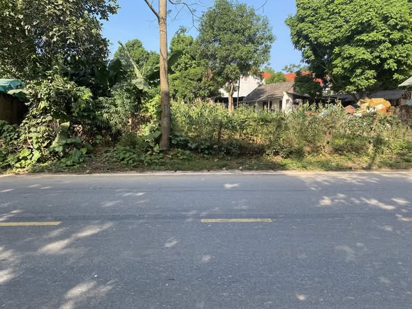 Đất nền Tân Phương Thanh Thủy 121m² giá 1 tỷ - Cơ hội đầu tư sinh lời!