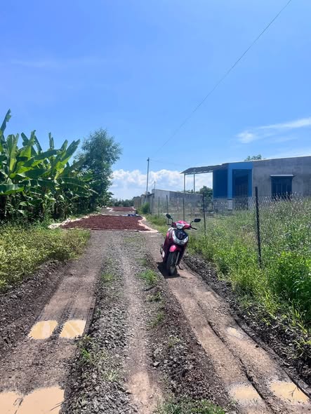 Đất nền Phú Lâm, Tân Phú 8000m² giá chỉ 1.2 tỷ - Đầu tư sinh lời ngay!