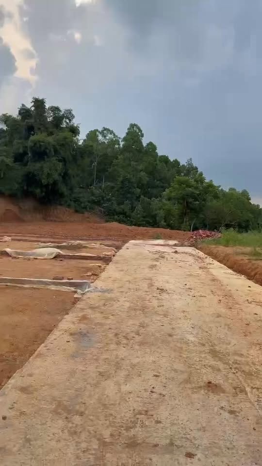 Đất nền Phong Châu 113.5m² chỉ 4xx triệu - Cơ hội đầu tư tuyệt vời!