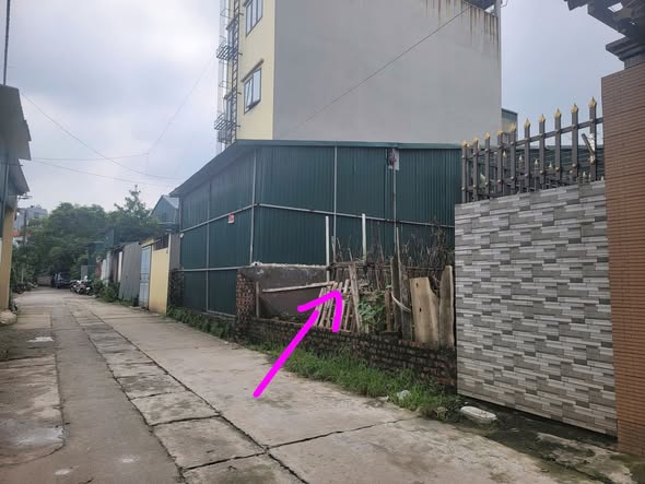 Đất thổ cư Thạch Bàn Long Biên 80m² giá 12.9 tỷ - Tiềm năng phát triển mạnh mẽ!