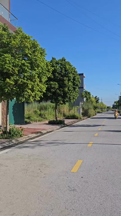 Shophouse Lương Điền Cẩm Giàng 74m² giá 2.8 tỷ - Kinh doanh đắc địa!