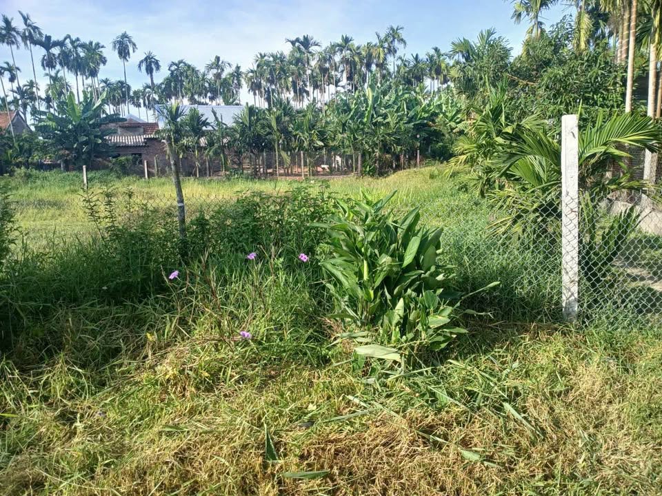 Đất nền Nghĩa Trung 170m² giá 430 triệu - Đường bê tông thông thoáng