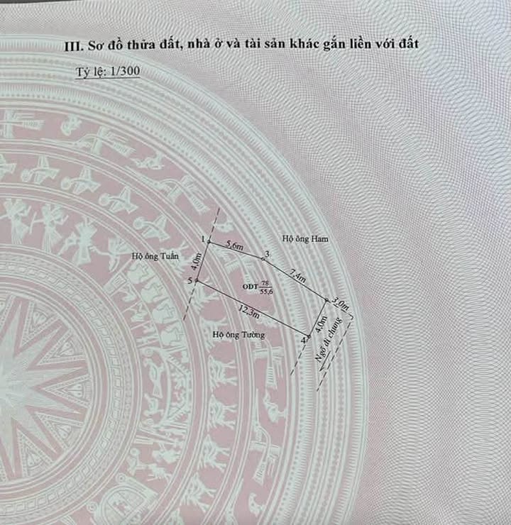 Đất nền tổ dân phố Biên Hoà, Bàng La, Đồ Sơn 56m² giá đầu tư chỉ 13 triệu/m² - Đường ô tô vào tận cửa!