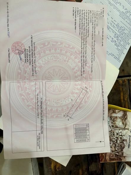 Đất nền Hướng Đạo Tam Dương 157m² giá 1 tỷ - Sổ đỏ chính chủ!