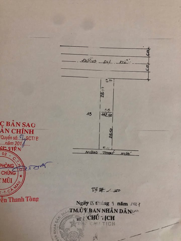 Bán nhà Phường 8 Cà Mau 142.5m² giá 1.4 tỷ - Vị trí sáng đẹp thuận tiện kinh doanh!