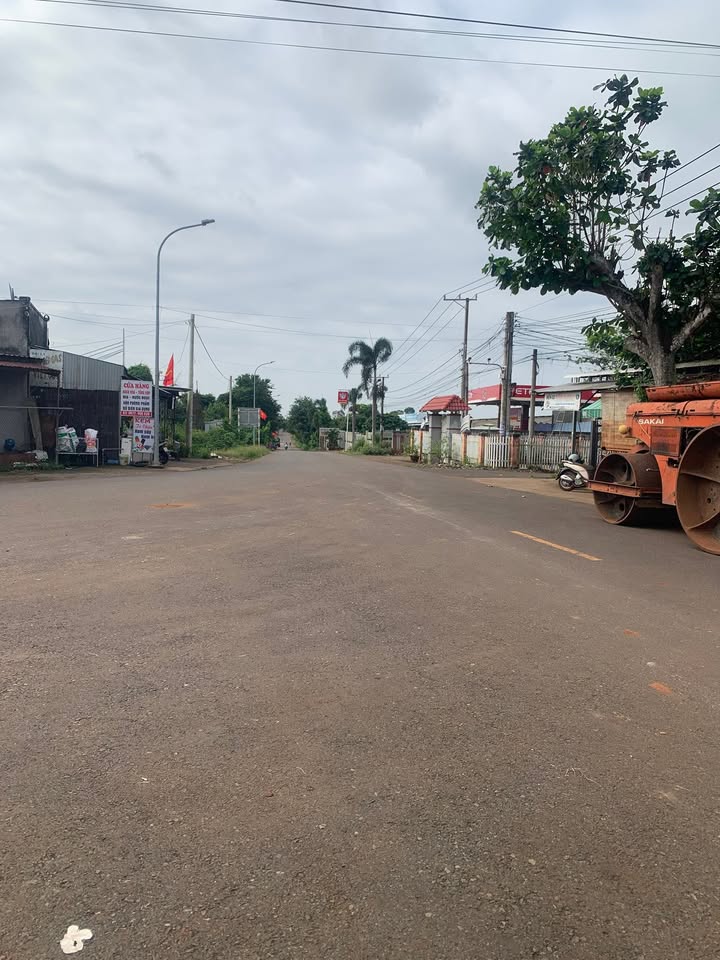 Đất nền 6000m² đường Bình Giã, Châu Đức, 1.15 tỷ - Cơ hội đầu tư hấp dẫn!