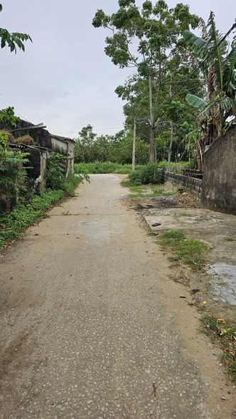 Đất nền Nga Trung 300m² giá chỉ 8 tỷ - Mặt tiền 12,5m, vị trí vàng!