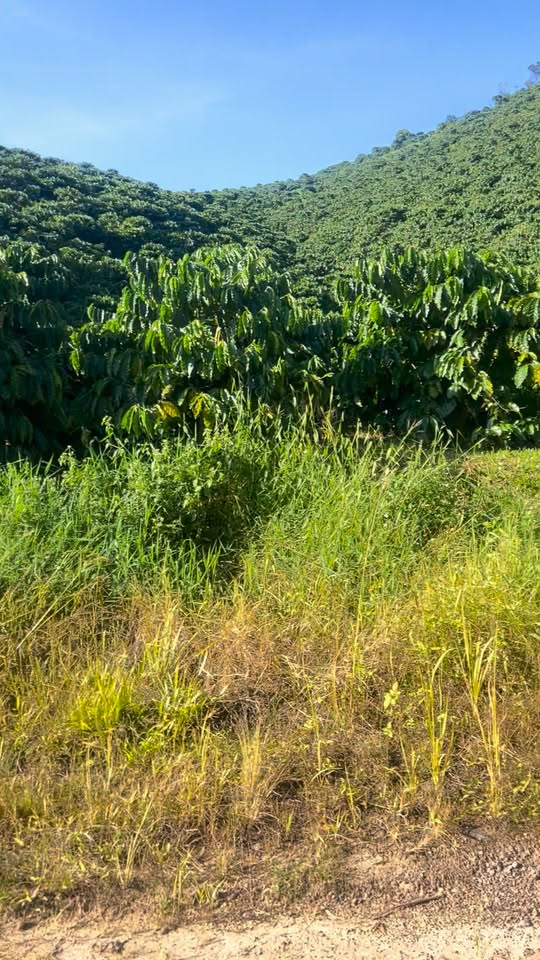 Đất nền Phúc Thọ Lâm Hà 60000m² giá 1.4 tỷ - Cơ hội đầu tư hiếm có!