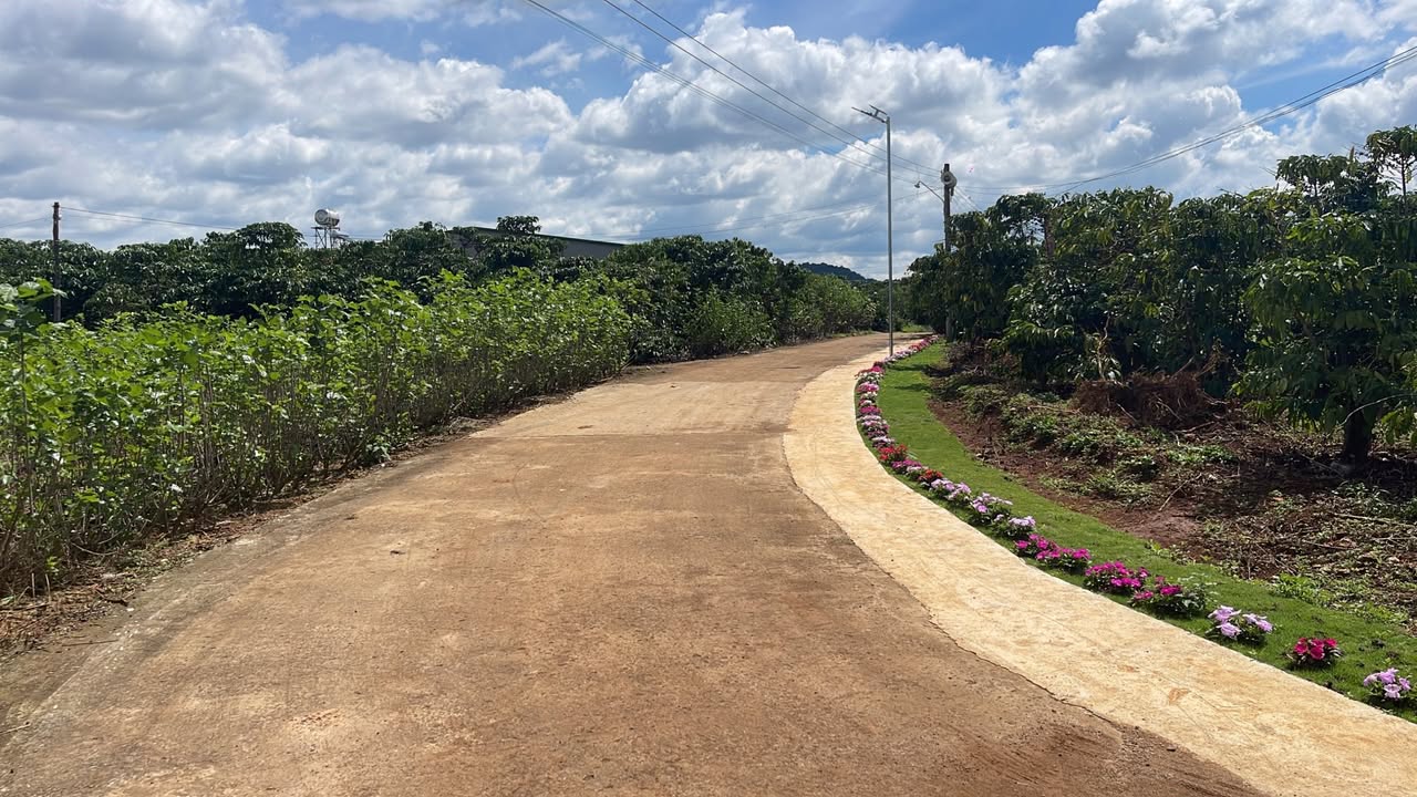 Đất nền Đinh Văn, Lâm Hà 145m² giá 660 triệu - Vị trí đẹp gần sân bay!