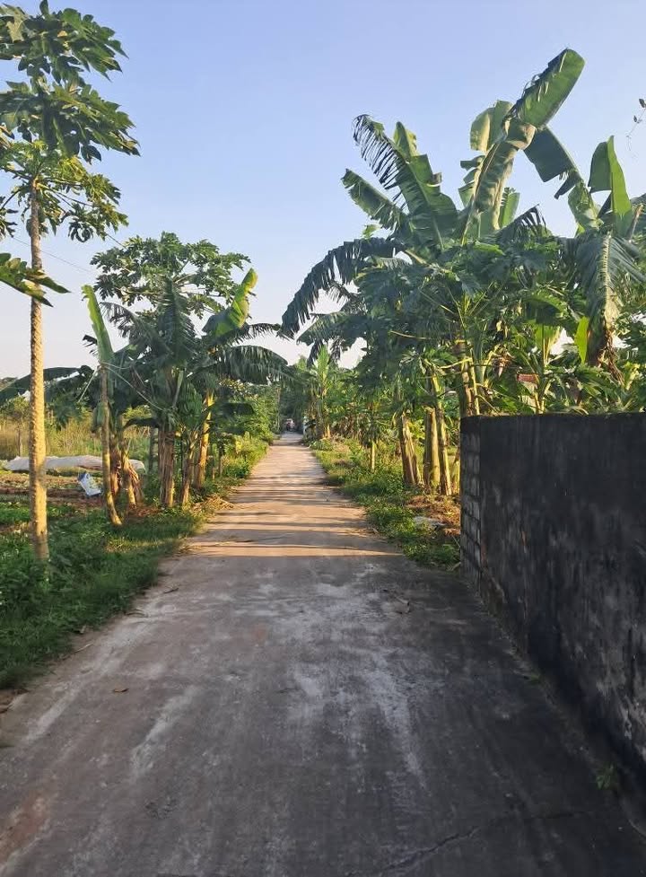 Đất nền góc 2 mặt tiền xã Bình An 120m² giá 800 triệu - Cơ hội đầu tư hấp dẫn!