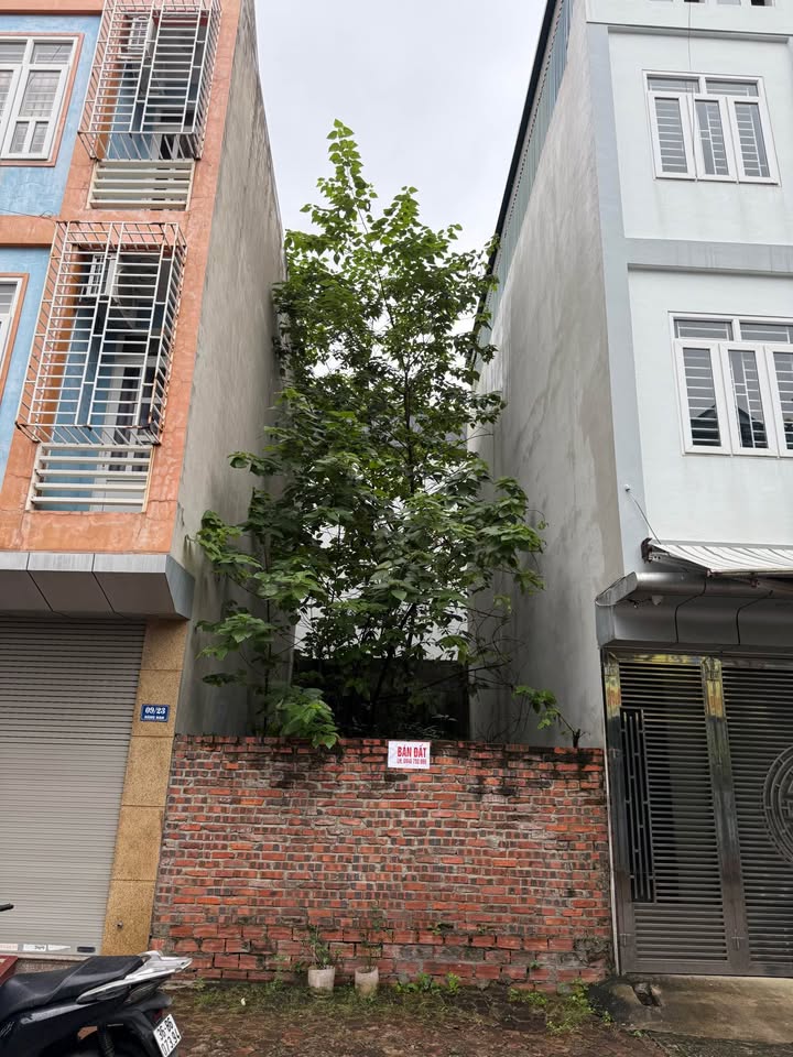 Đất nền Hàng Nan, phường Lam Sơn 39.5m² giá 2.1 tỷ - Vị trí trung tâm đắc địa!