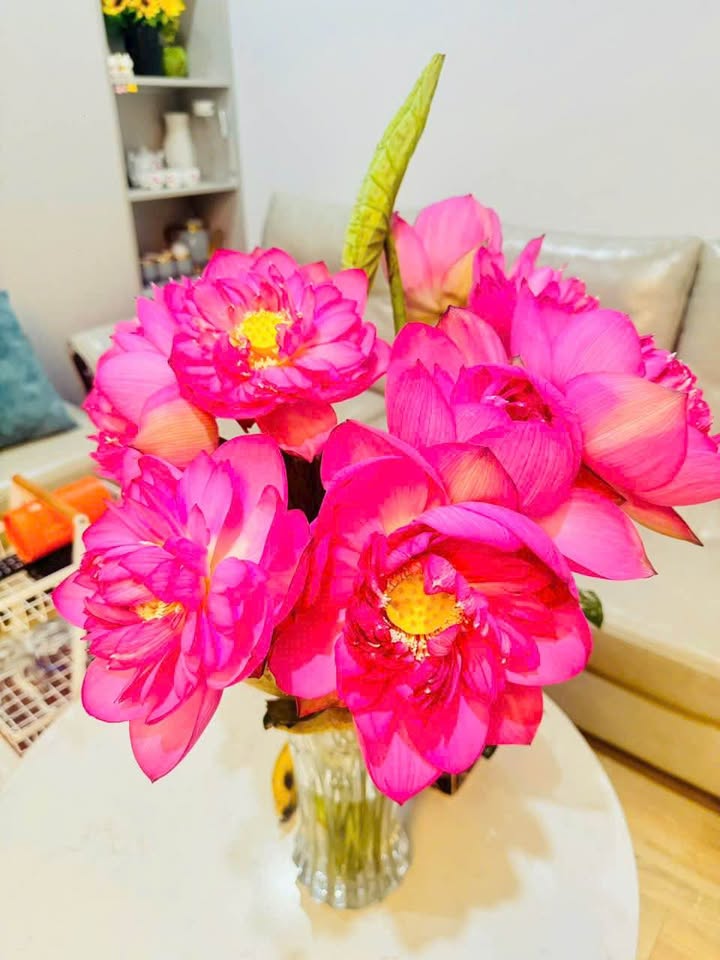 Căn hộ chung cư Phú Sơn Thanh Hóa 48m² giá 1.3 tỷ - Sẵn sàng vào ở ngay!