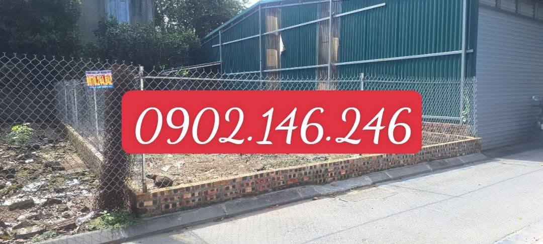 Đất nền Cổ Loa Đông Anh 80m² giá 6.4 tỷ - Lô đẹp, pháp lý sạch!