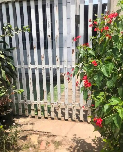 Nhà 3 phòng ngủ Phường Tân Ninh, Tây Ninh 144m² giá chỉ 900 triệu - Cơ hội vàng cho gia đình!