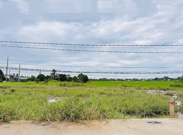 Đất thổ cư 130m² xã Bình Lãng, Tân Trụ giá 465 triệu - Sổ hồng có sẵn!