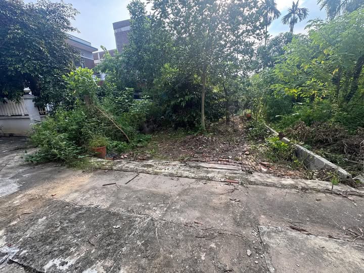 Đất nền chính chủ tại Văn Giang 60,6m² giá 2 tỷ - Tiện ích đỉnh cao!