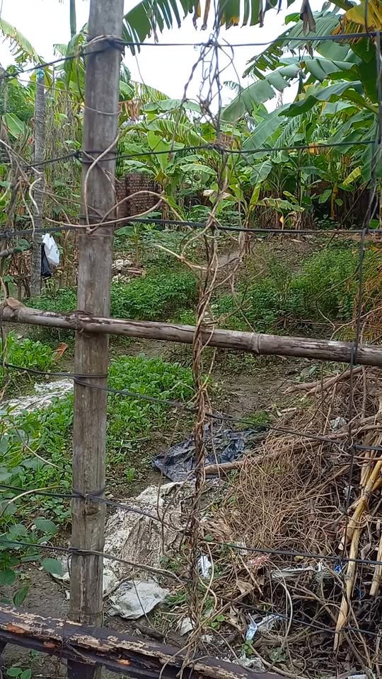 Đất nền chính chủ An Lão 182m² giá thỏa thuận - Bán gấp cần tiền!