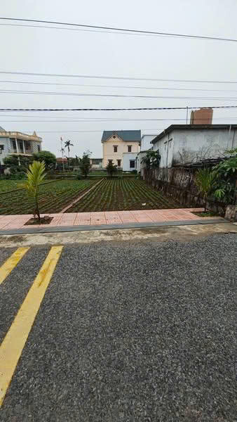 Đất nền Tân Ninh - Triệu Sơn, Thanh Hóa 116m² giá 600 triệu - Đầu tư ngay hôm nay!