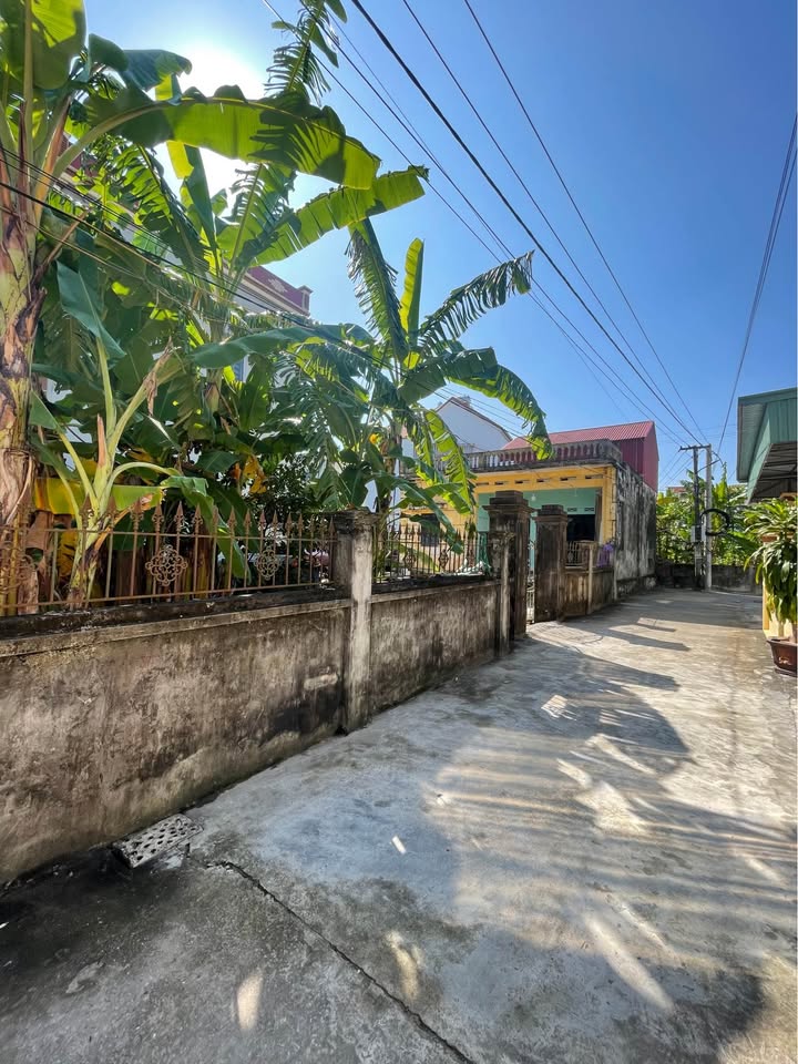 Đất nền An Lễ Đông Mỹ 50m² giá 700 triệu - Hàng hiếm gần KCN Đông Mỹ!