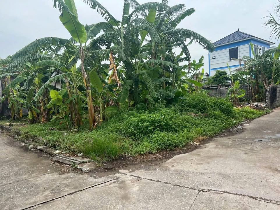 Đất nền Hồng Thái, Kiến Xương, Thái Bình 80m² - Giá đầu tư hấp dẫn chỉ 400 triệu