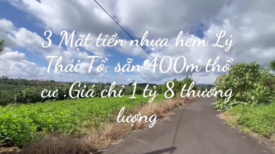 Đất nền hẻm Lý Thái Tổ, Bảo Lộc 800m² giá 1.8 tỷ - View đẹp, thuận tiện giao thông!