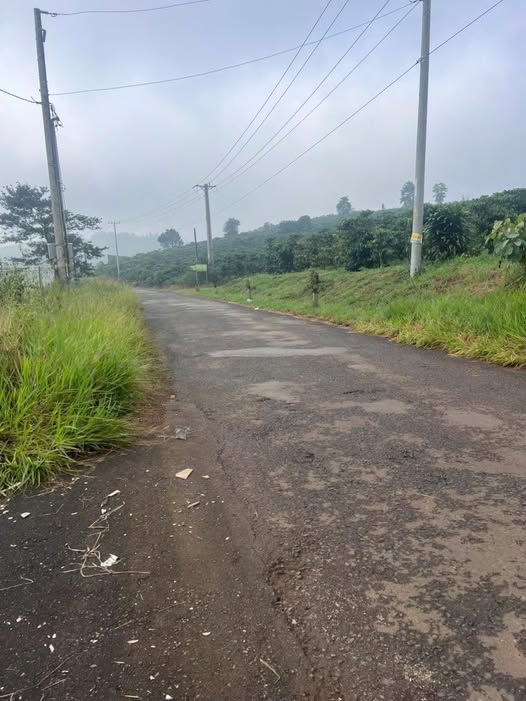 Đất nền đường Chi Lăng, xã Lộc Thành, 1000m² giá chỉ 1.55 tỷ - Cơ hội đầu tư hấp dẫn!