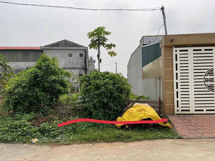 Đất nền Hợp Hải Lâm Thao 100m² giá 1 tỷ - Sổ đỏ chính chủ!