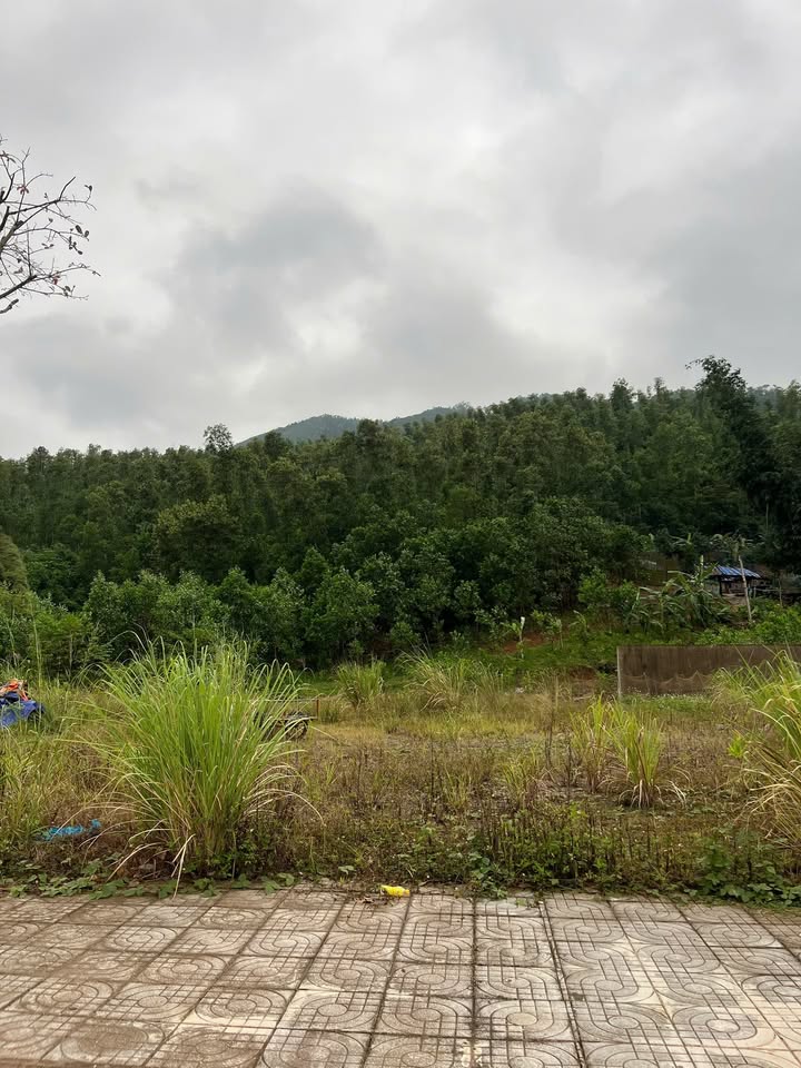 Đất 250m² tại Vạn Yên, Vân Đồn - Bán gấp, giá tốt cho đầu tư!