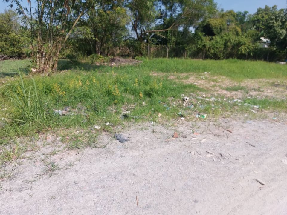 Đất thổ cư Phước Tây, Gò Dầu 300m² giá 600 triệu - Đường nhựa thông thoáng!