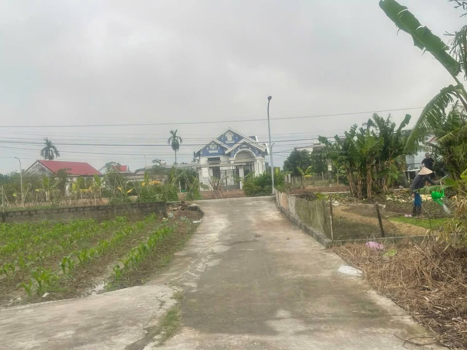 Đất nền xóm 6, Nghĩa Phú, 175m² giá chỉ 1.23 tỷ - Đầu tư sinh lời ngay!