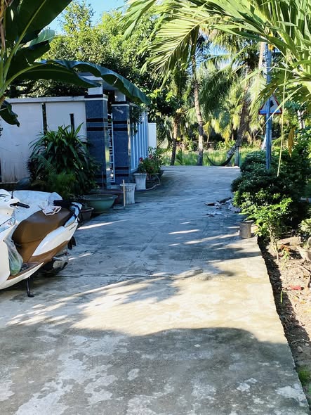 Đất thổ cư Diên Toàn 100m² giá 1,4 tỷ - Hướng Đông mát mẻ, sổ hồng chính chủ!