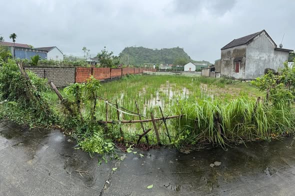 Đất Lý Thành 465m² giá 500 triệu - Cơ hội đầu tư lý tưởng!