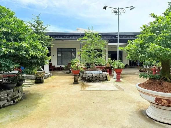 Nhà sân vườn Phú Tân Bến Tre 960m² giá 3.85 tỷ - Không thể bỏ lỡ!