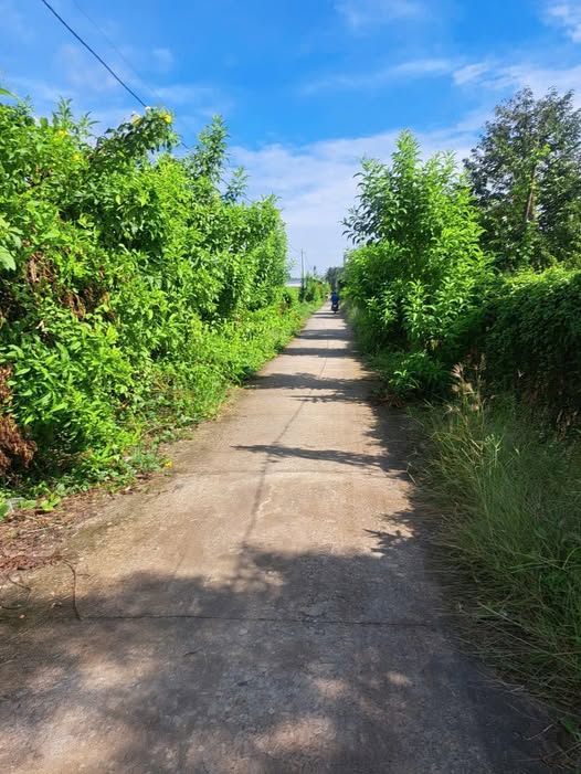 Đất nền chính chủ 150m² tại Bình Phú, Cai Lậy - Giá chỉ 530 triệu!