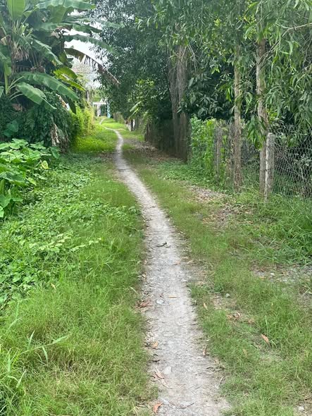 Đất vườn 2636m² An Nhơn Tây, Củ Chi - Giá 4 tỷ, thương lượng ngay!