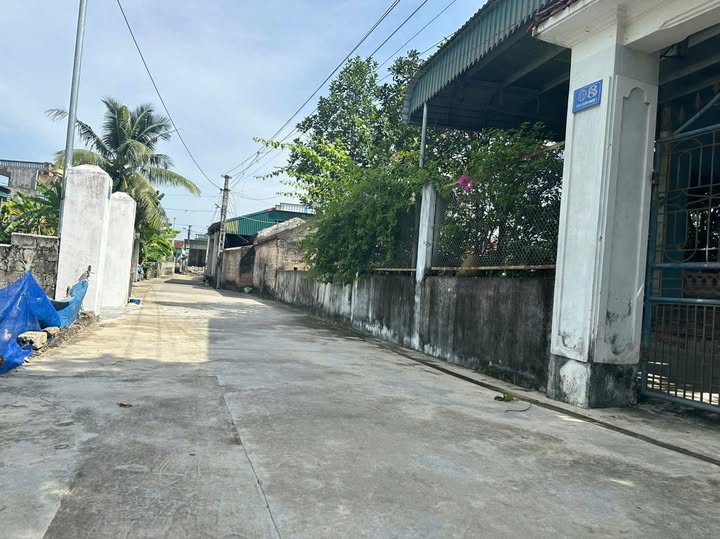 Đất thổ cư Đồng Lợi, Triệu Sơn 200m² chỉ 600 triệu - Đầu tư sinh lời ngay!