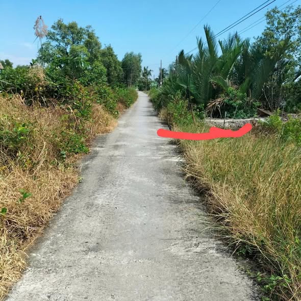 Đất nền ấp 8B, xã Phong Thạnh Tây A 13.000m² giá 845 triệu - Đầu tư sinh lời cao!