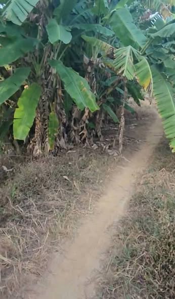 Đất thổ cư 100m² xã Thủy Đông, huyện Thạnh Hóa giá chỉ 1 tỷ - Cơ hội đầu tư hấp dẫn!