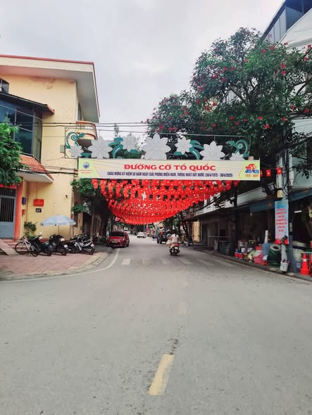 Lô đất 110m² tại phố đi bộ Chợ Đêm Kỳ Lừa - Giá chỉ 6.6 tỷ VND