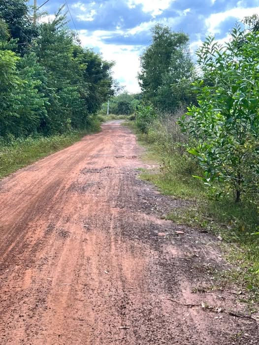 Đất nền 4ha tại xã Lộc Tấn, Lộc Ninh, Bình Phước giá 32 tỷ - Cơ hội đầu tư sinh lời!