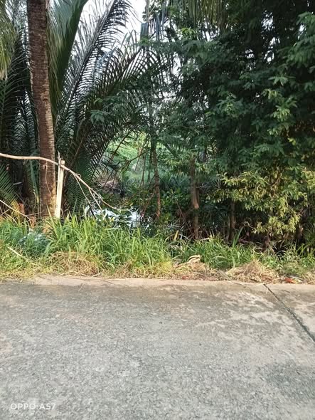 Đất nền Đại Hòa Lộc Bình Đại 703m² giá 760 triệu - Cơ hội đầu tư sinh lời!