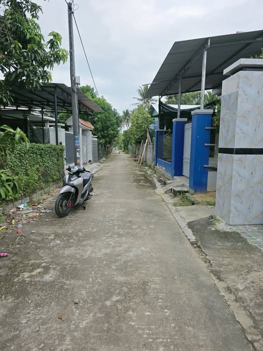 Đất nền khu phố Trung Hiệp 2, Cam Lâm 300m² chỉ 1 tỷ - Cơ hội đầu tư hấp dẫn!