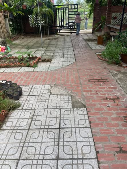 Nhà phố Thạnh Trị, Bình Đại, Bến Tre 250m² giá 800 triệu - Chính chủ bán gấp!