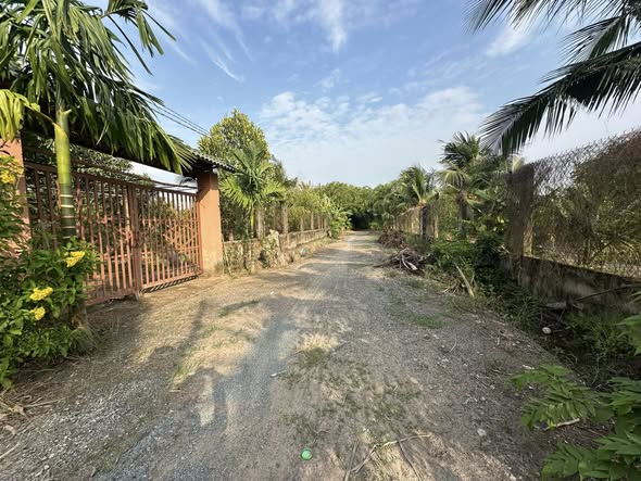 Đất vườn Bình Lợi, Bình Chánh 1562m² giá chỉ 3.124 tỷ - Cơ hội đầu tư hấp dẫn!